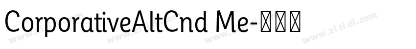 CorporativeAltCnd Me字体转换 CorporativeAltCnd Me字体转换